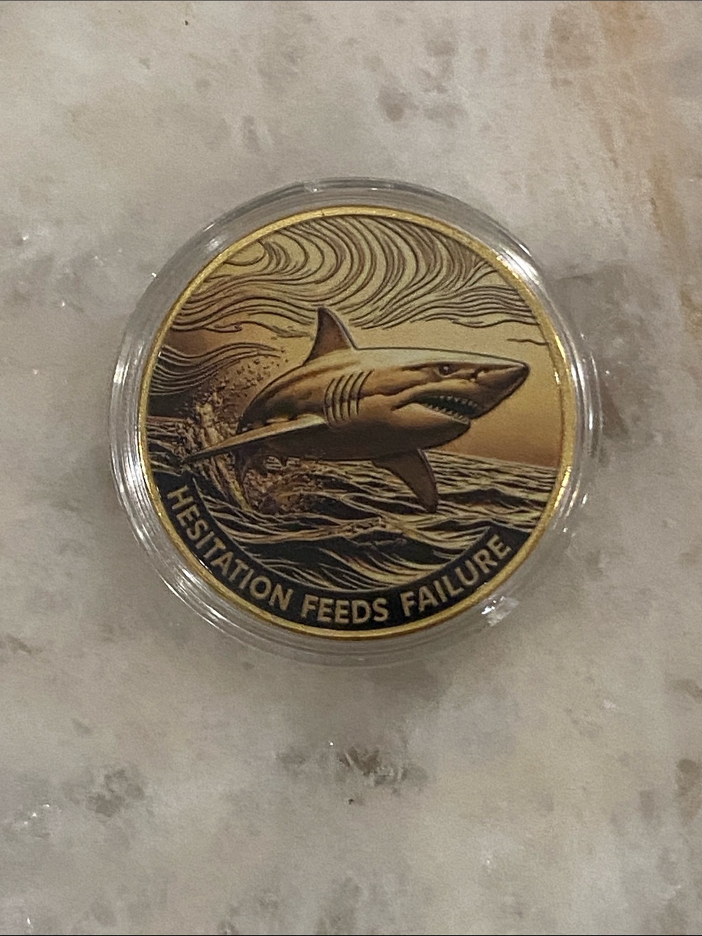 Gold Shark Challenge Coin - Hesitation Feeds Failure